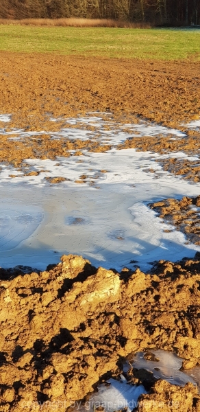 30.12.2019 - Natur_01