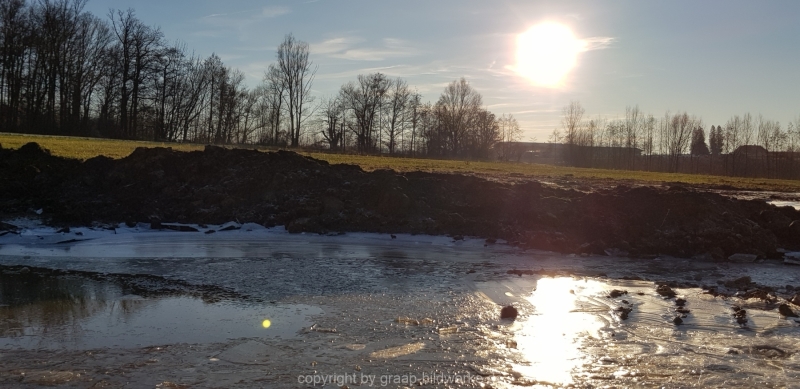 30.12.2019 - Natur_04