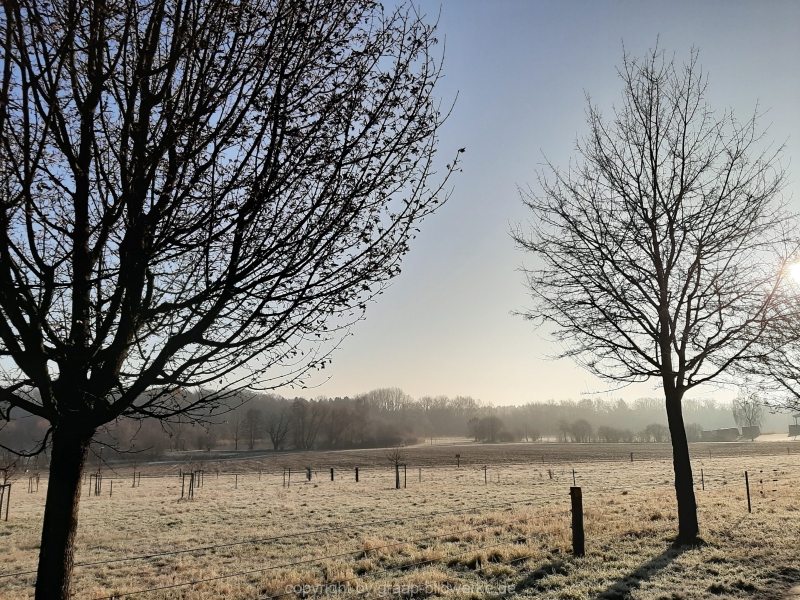 06.01.2020 - Spaziergang_06