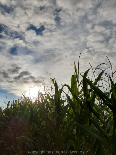 20200904_081925
