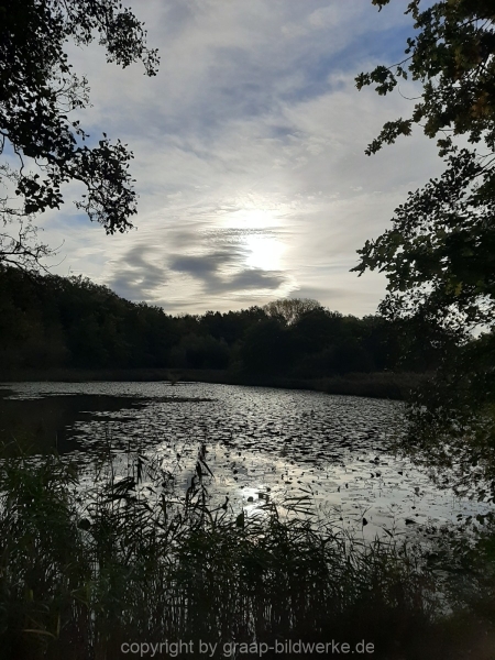 20201009_090820