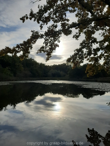 20201009_090905