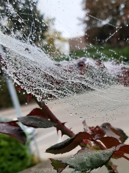 20201011_111156