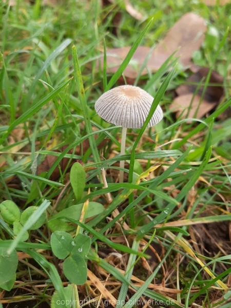 20201017_143245