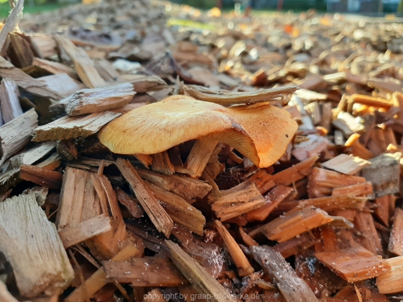 20201107_150628