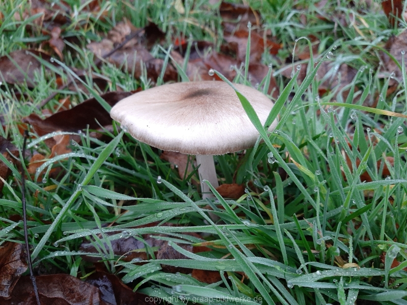20201113_074633