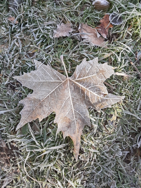 20201122_102924