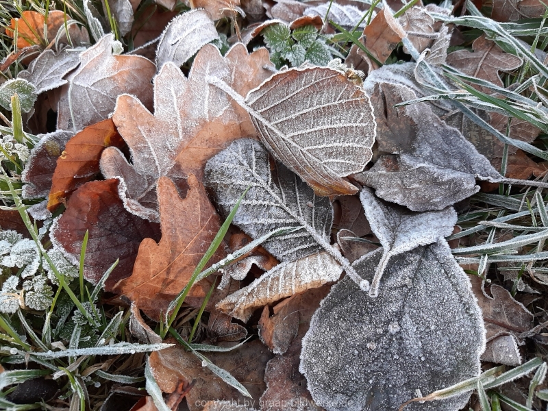 28.11.2020 - Frost_02
