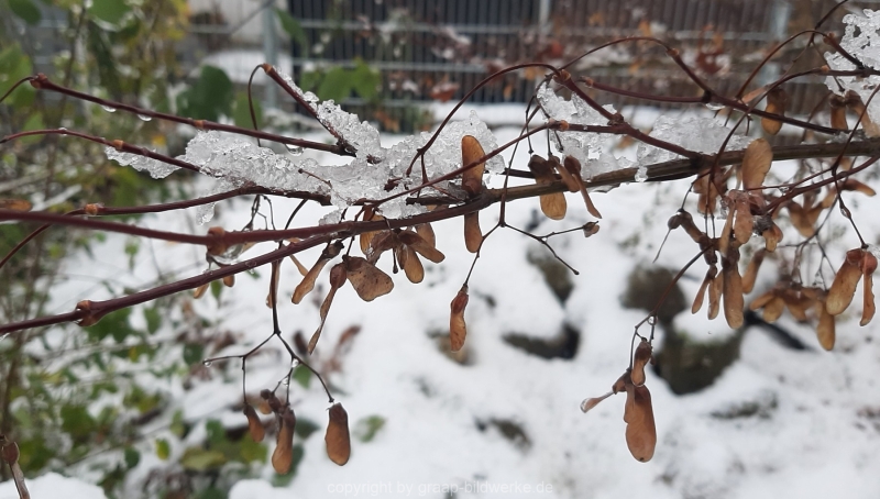 01.12.2020 - Schnee in Uhingen