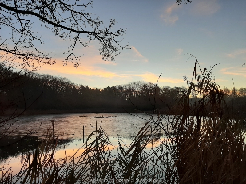 14.12.2020 - Spaziergang_06