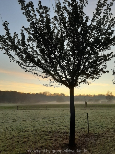 14.12.2020 - Spaziergang_02