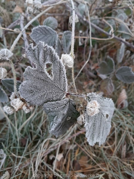 27.12.2020 - Spaziergang_07