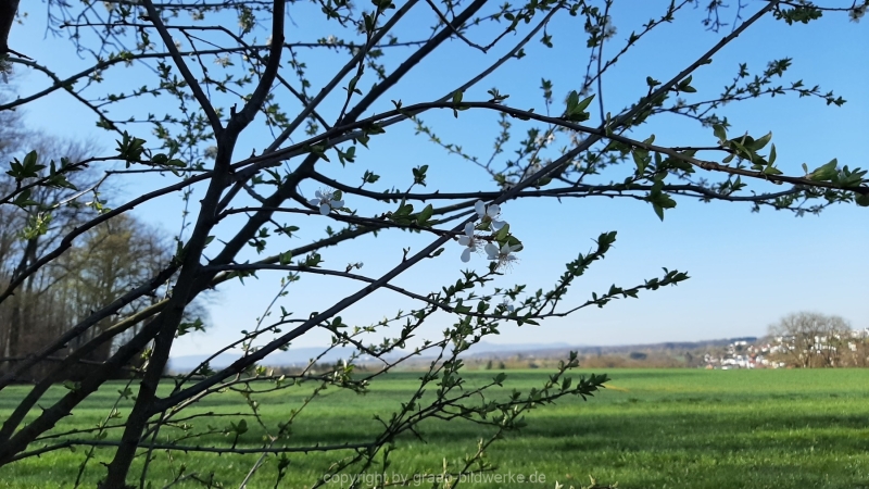 04.04.2021 - Spaziergang im Frühling_01
