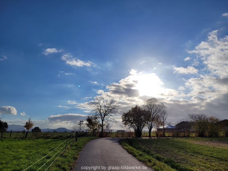 08.11.2021-Herbstspaziergang-am-Carlottensee_1