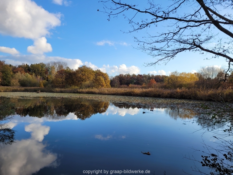 08.11.2021-Herbstspaziergang-am-Carlottensee_3
