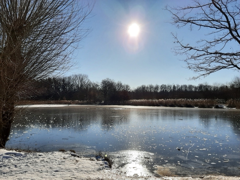 13.02.2021 - Winterspaziergang_01