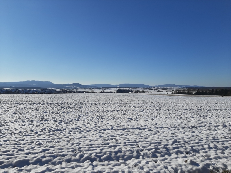 13.02.2021 - Winterspaziergang_03
