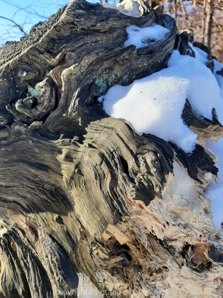 14.02.2021 - Winterspaziergang_03