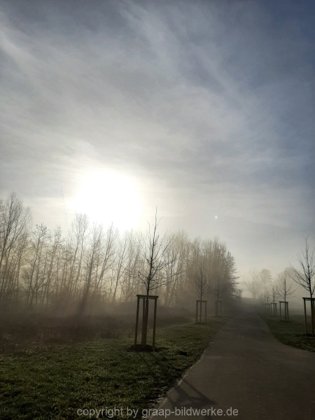 20.02.2021 - Morgenspaziergang