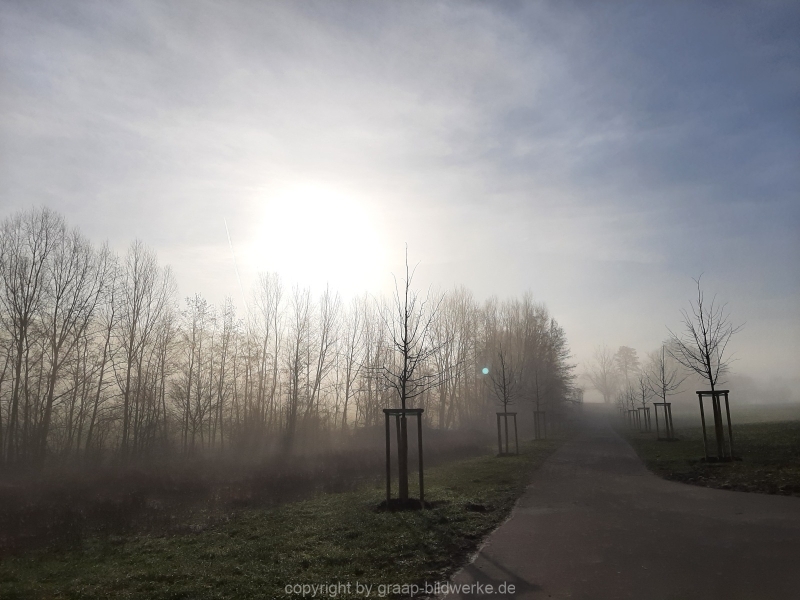 20.02.2021 - Nebelspaziergang_01