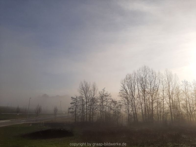 20.02.2021 - Nebelspaziergang_01