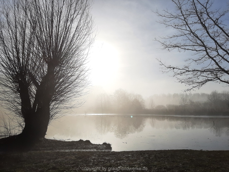 20.02.2021 - Nebelspaziergang_02