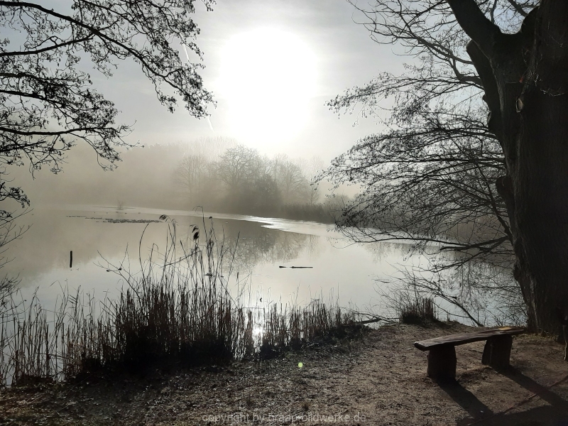 20.02.2021 - Nebelspaziergang_03