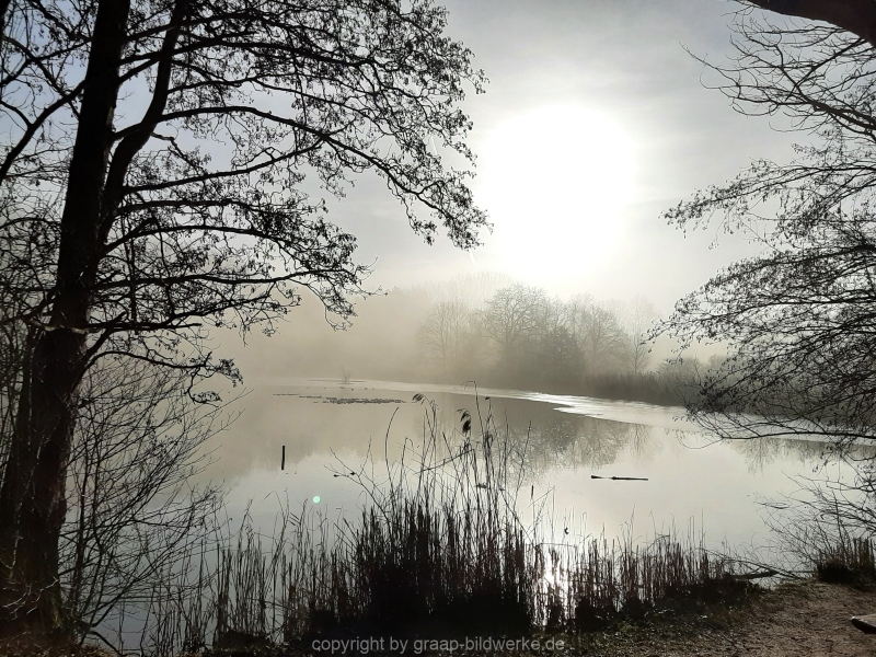 20.02.2021 - Nebelspaziergang_05