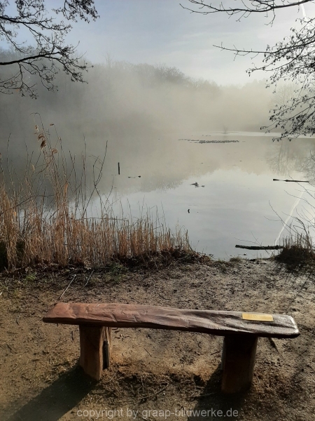 20.02.2021 - Nebelspaziergang_04