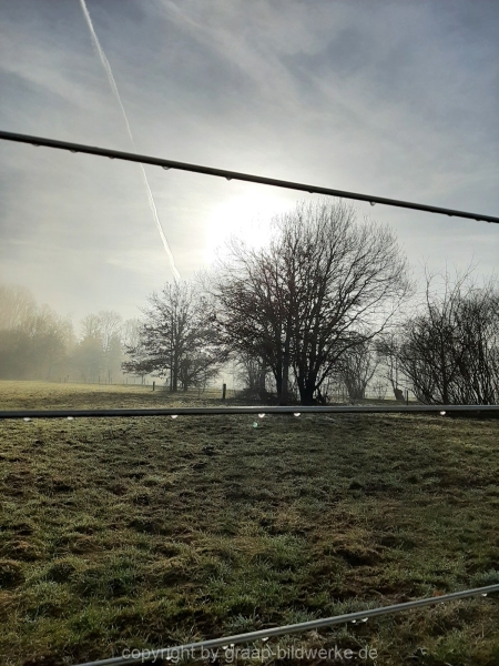 20.02.2021 - Nebelspaziergang_06