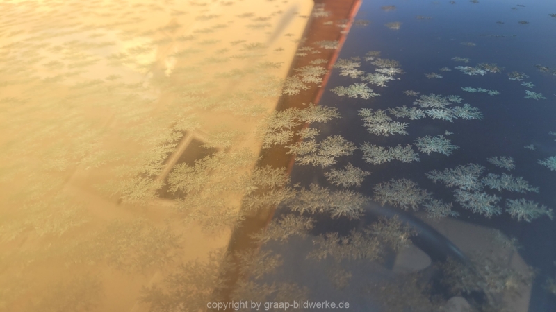 20230210_082728