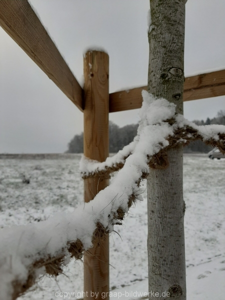 03.01.2021 - Schneespaziergang_02