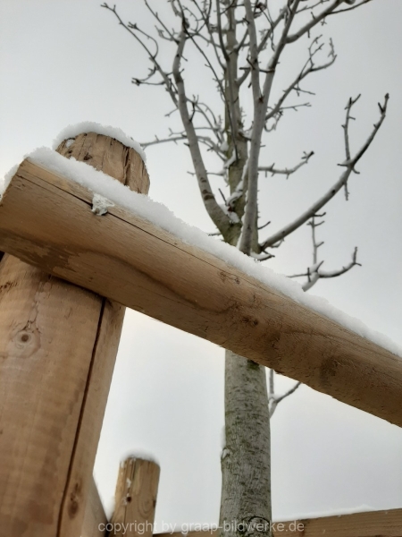 03.01.2021 - Schneespaziergang_01