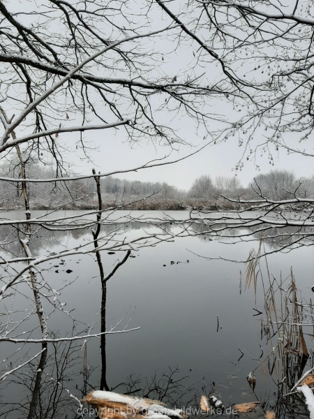 03.01.2021 - Schneespaziergang_09