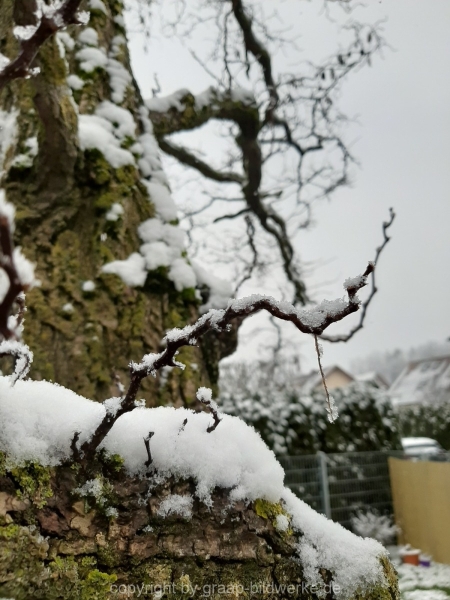 03.01.2021 - Schneespaziergang_23
