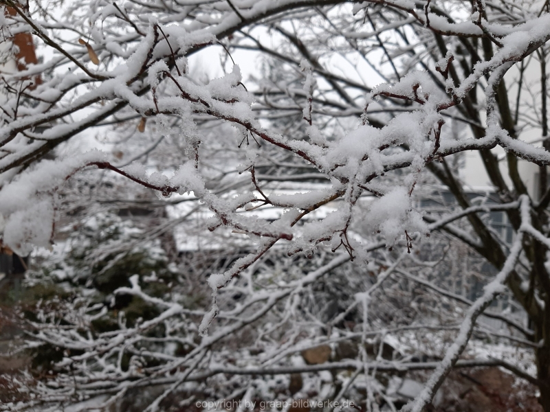 06.01.2021 - Winterimpressionen_04