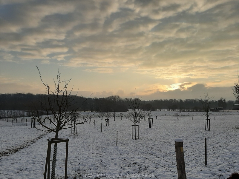 09.01.2021 - Winterimpressionen_01