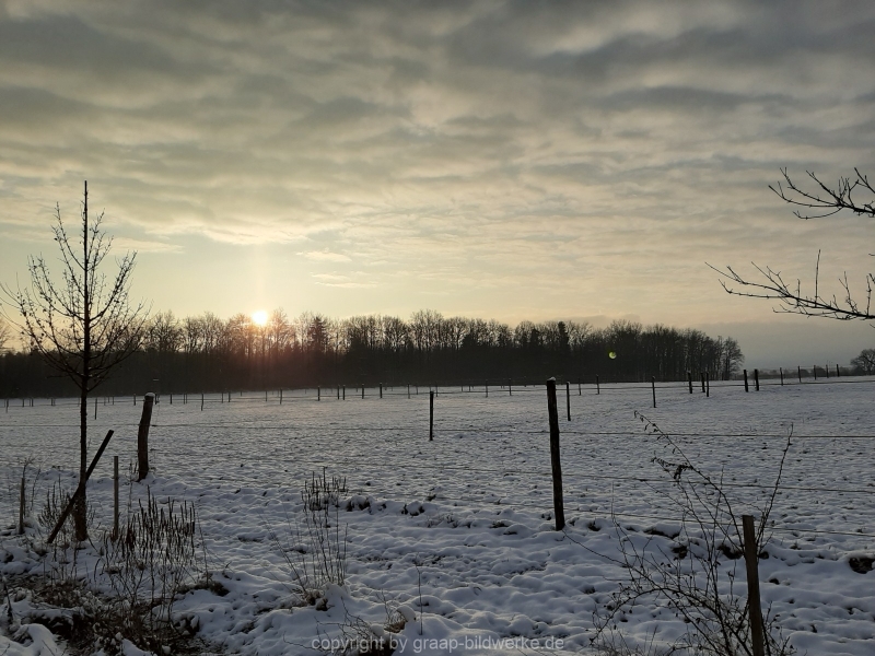 09.01.2021 - Winterimpressionen_03