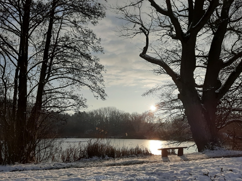 09.01.2021 - Winterimpressionen_14