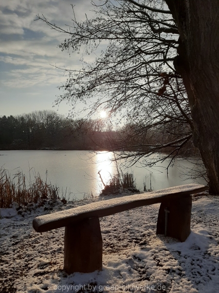 09.01.2021 - Winterimpressionen_13