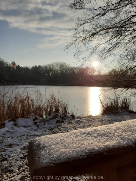 09.01.2021 - Winterimpressionen_15