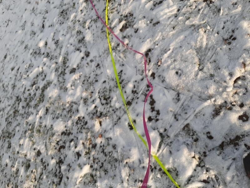 10.01.2021 - Winterimpressionen_03