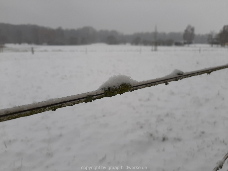 17.01.2021 - Winterimpressionen_01