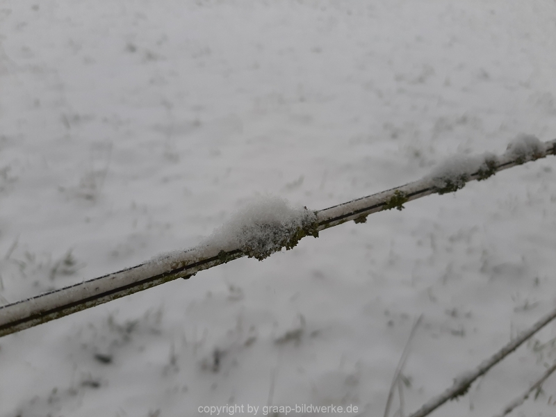 17.01.2021 - Winterimpressionen_03