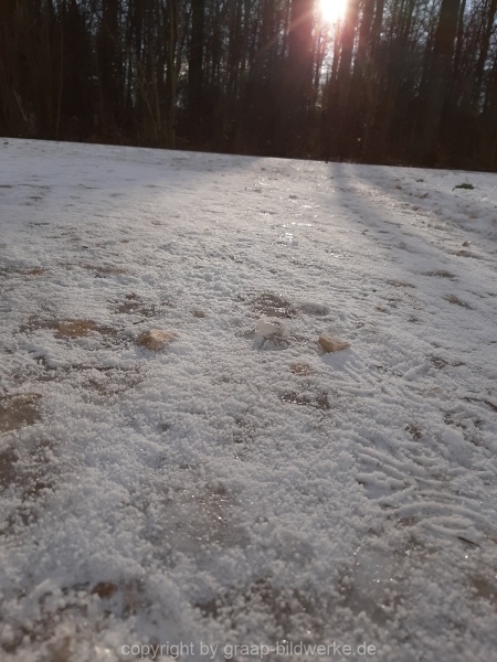 24.01.2021 - Winterimpressionen_05