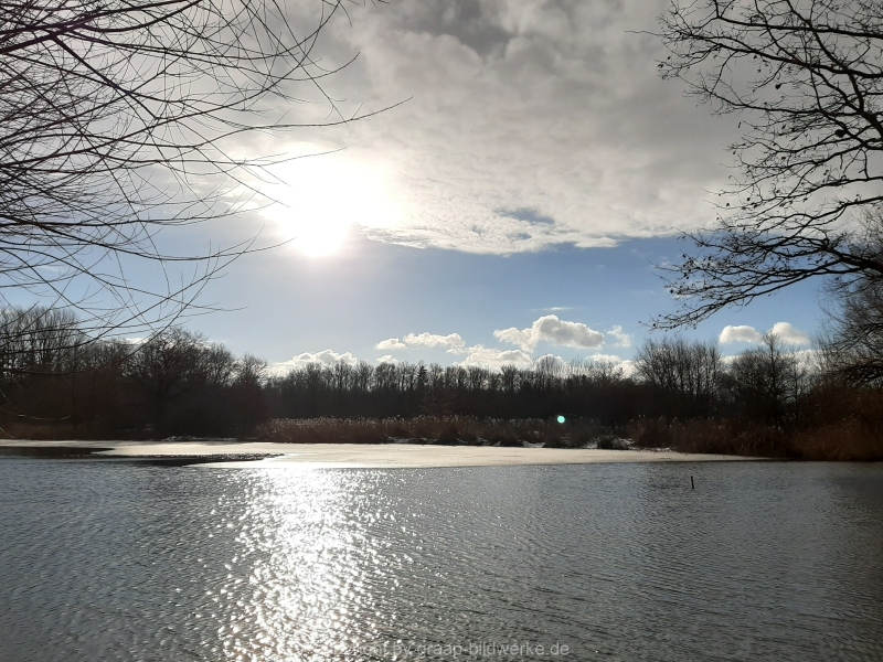 24.01.2021 - Winterimpressionen_06