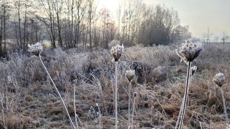 16.01.2022 - Spaziergang bei frostigem Morgen_10