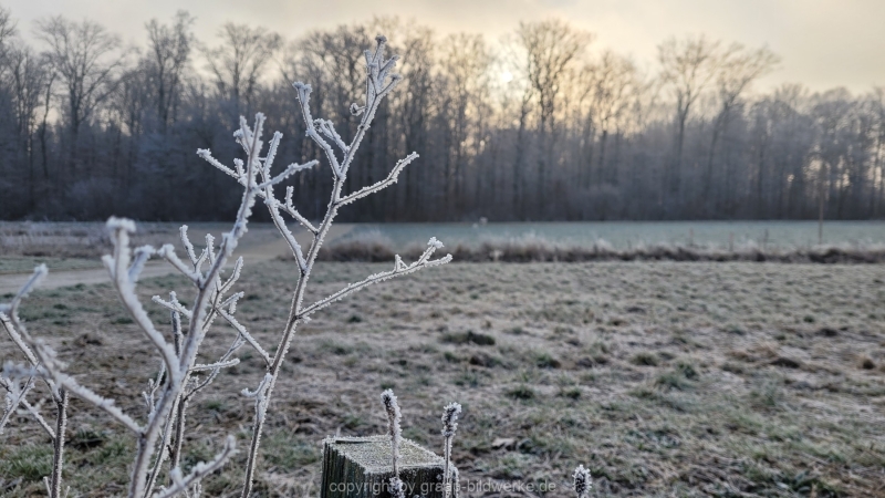 16.01.2022 - Spaziergang bei frostigem Morgen_09