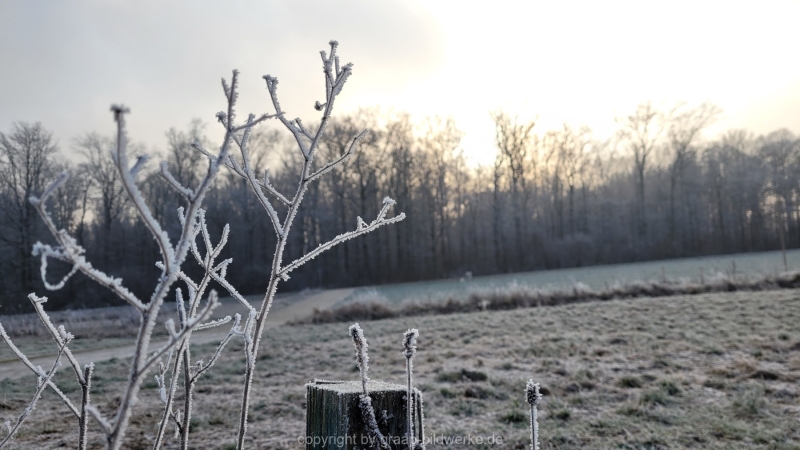 16.01.2022 - Spaziergang bei frostigem Morgen_11