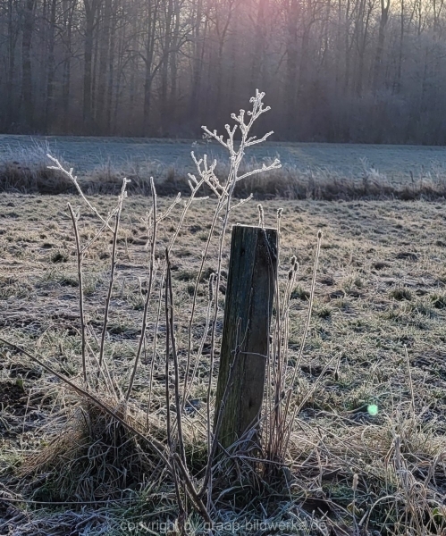 16.01.2022 - Spaziergang bei frostigem Morgen_07